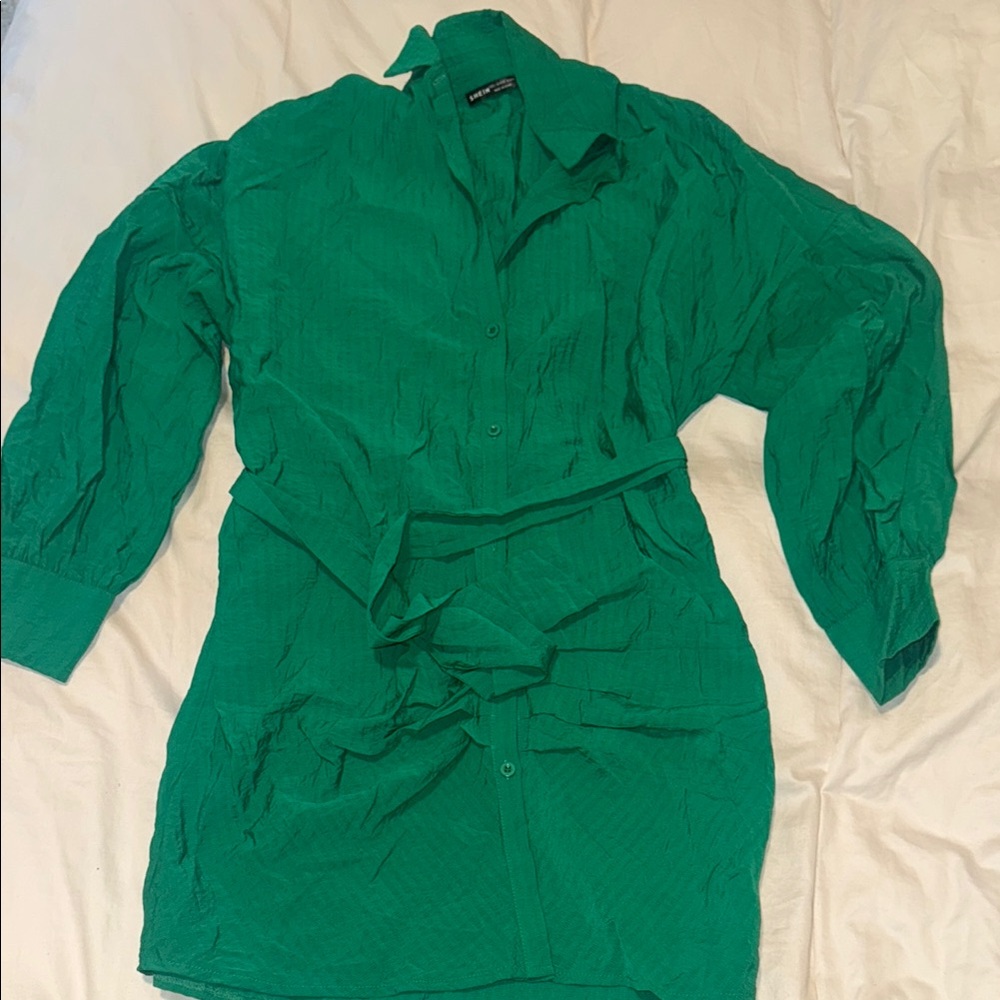 Green Button-Up Dress with Belt
